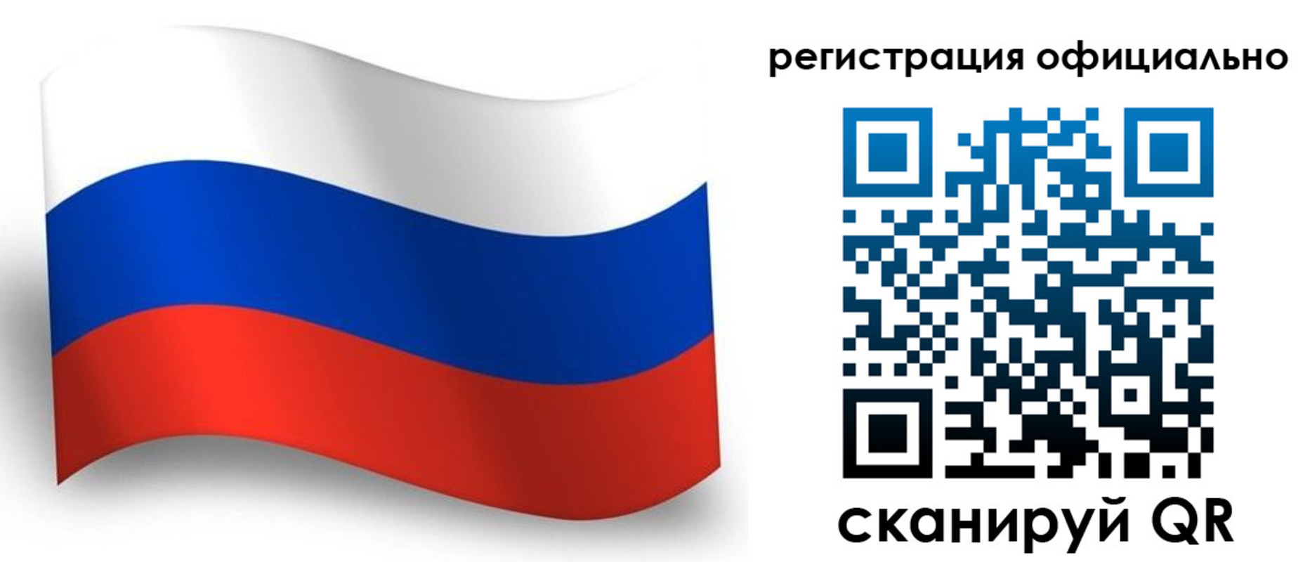 прописка для школы в Курске